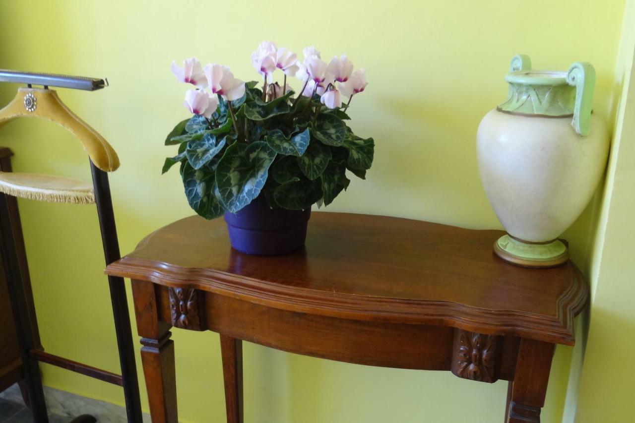 Chambre Ajaccio Séjour chez l'habitant